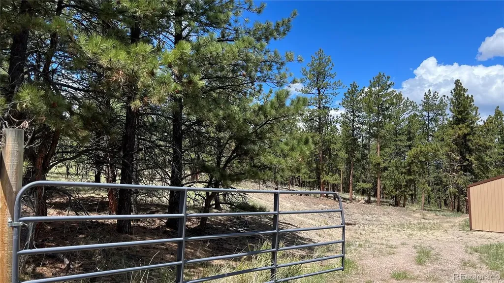 207 Little Bear Drive Westcliffe CO 81252