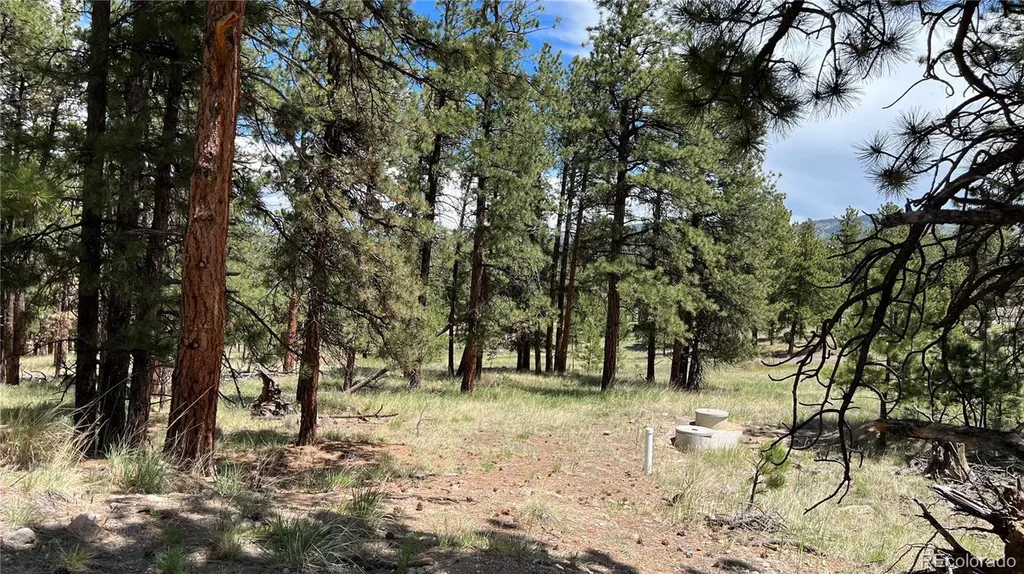 207 Little Bear Drive Westcliffe CO 81252