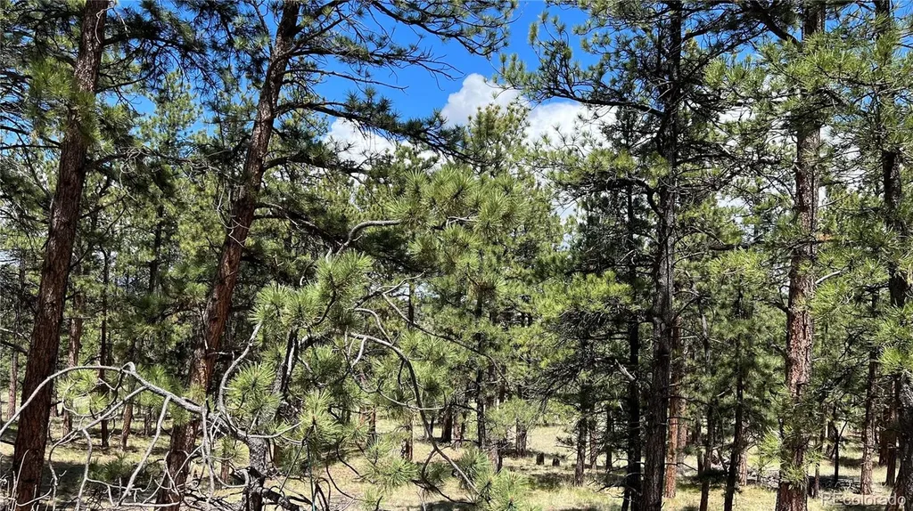 207 Little Bear Drive Westcliffe CO 81252