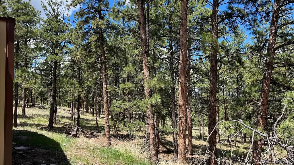 207 Little Bear Drive Westcliffe CO 81252