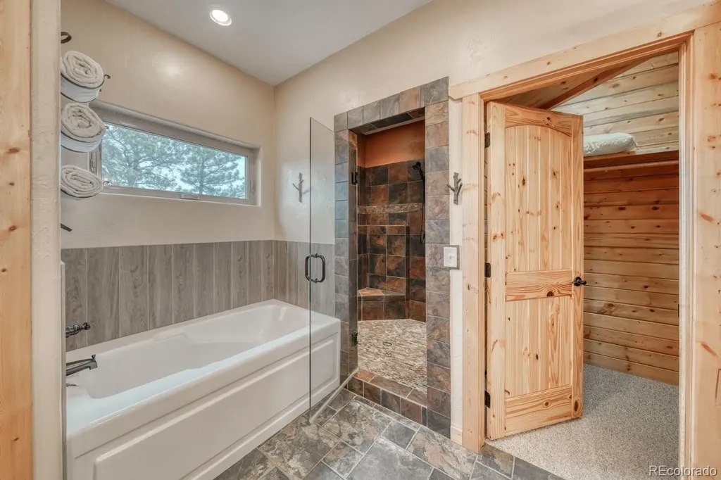 31055 Kodiak Court Buena Vista CO 81211