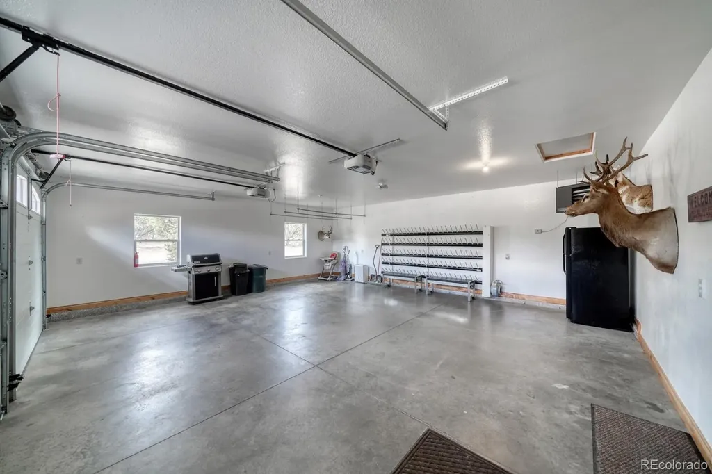 31055 Kodiak Court Buena Vista CO 81211