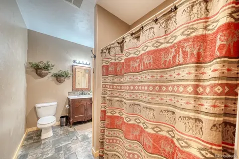 31055 Kodiak Court Buena Vista CO 81211