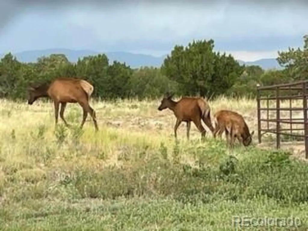 1035 Newton Road Pueblo CO 81005