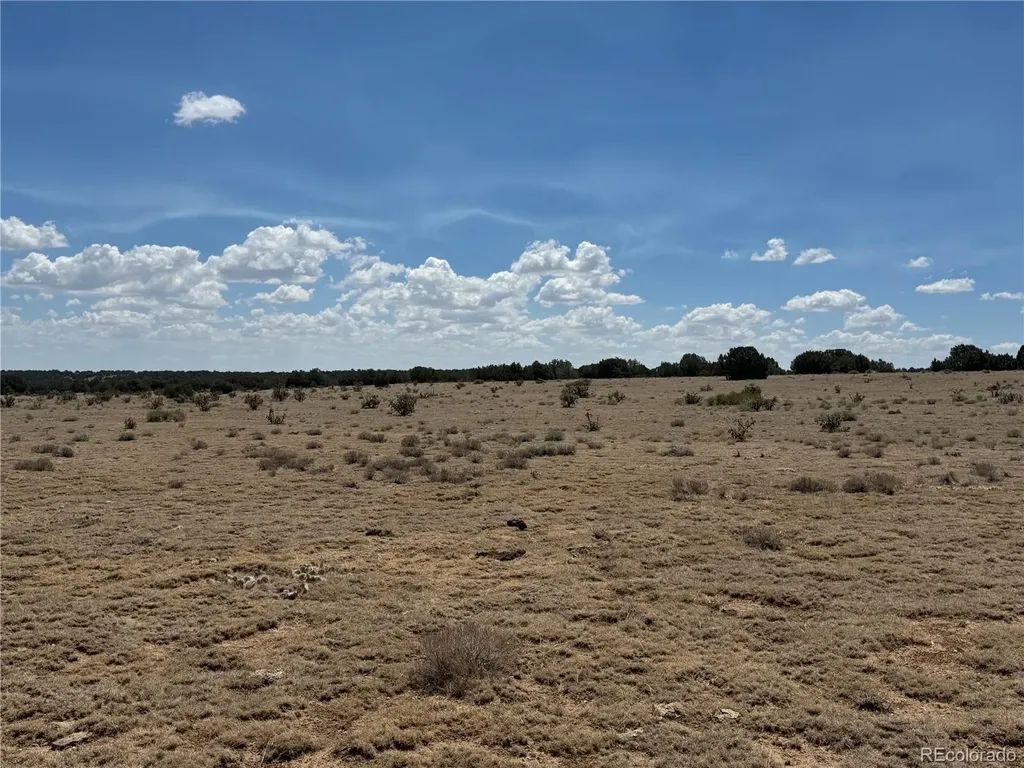 Lot H Twin Lakes Ranches Walsenburg CO 81089