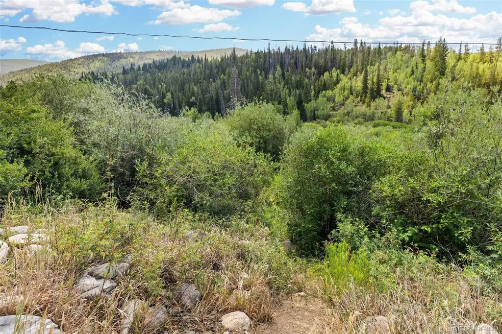 1054 Straight Creek Drive Dillon CO 80435