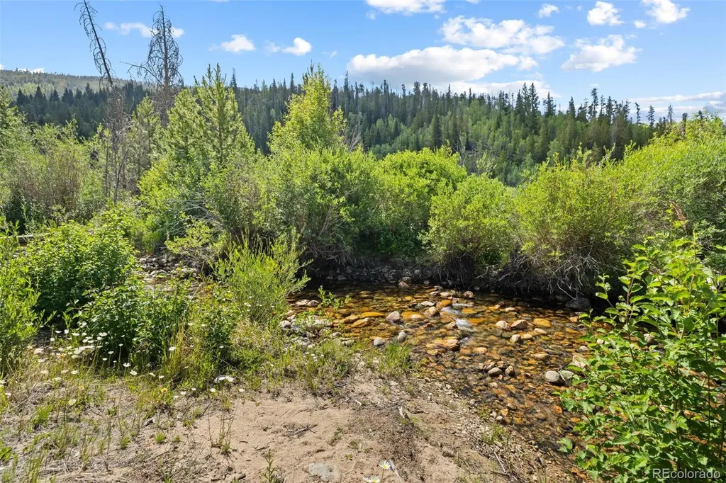 1054 Straight Creek Drive Dillon CO 80435