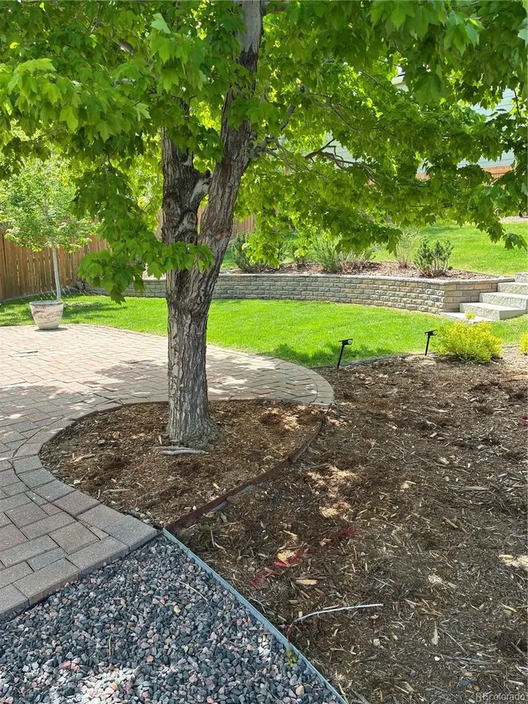 1416 Begonia Way Superior CO 80027