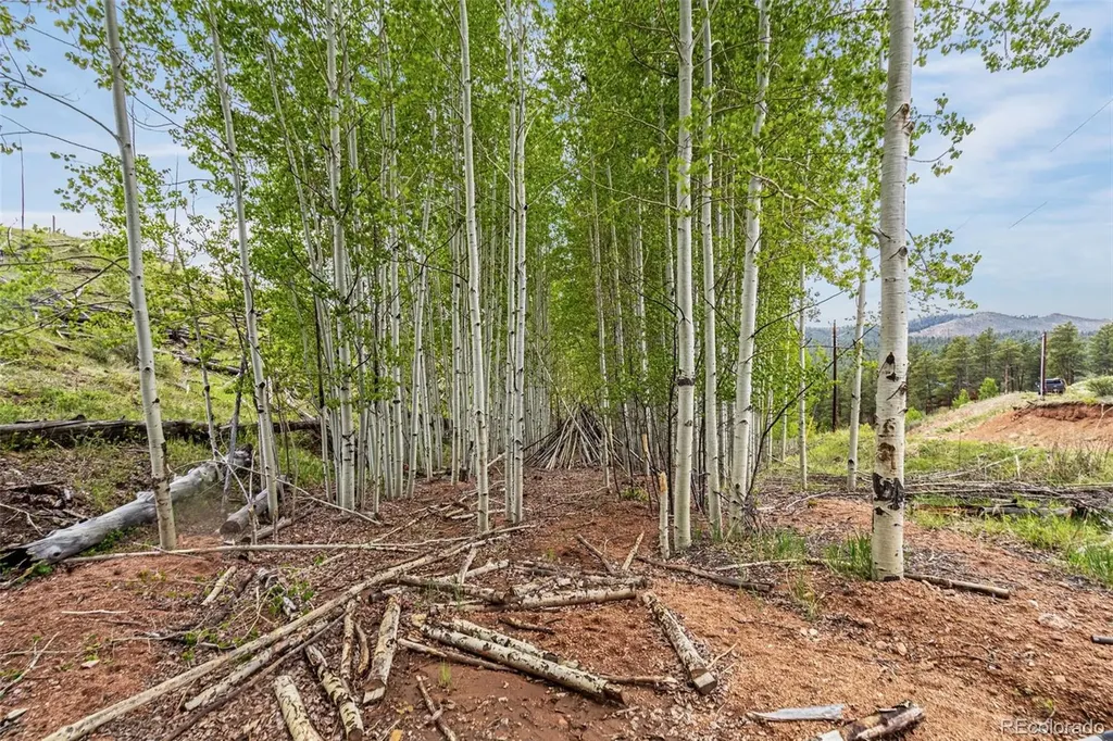 L1 B4 Columbine Circle Woodland Park CO 80863