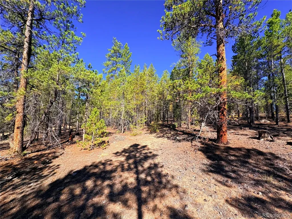 323 Aspen Drive Leadville CO 80461