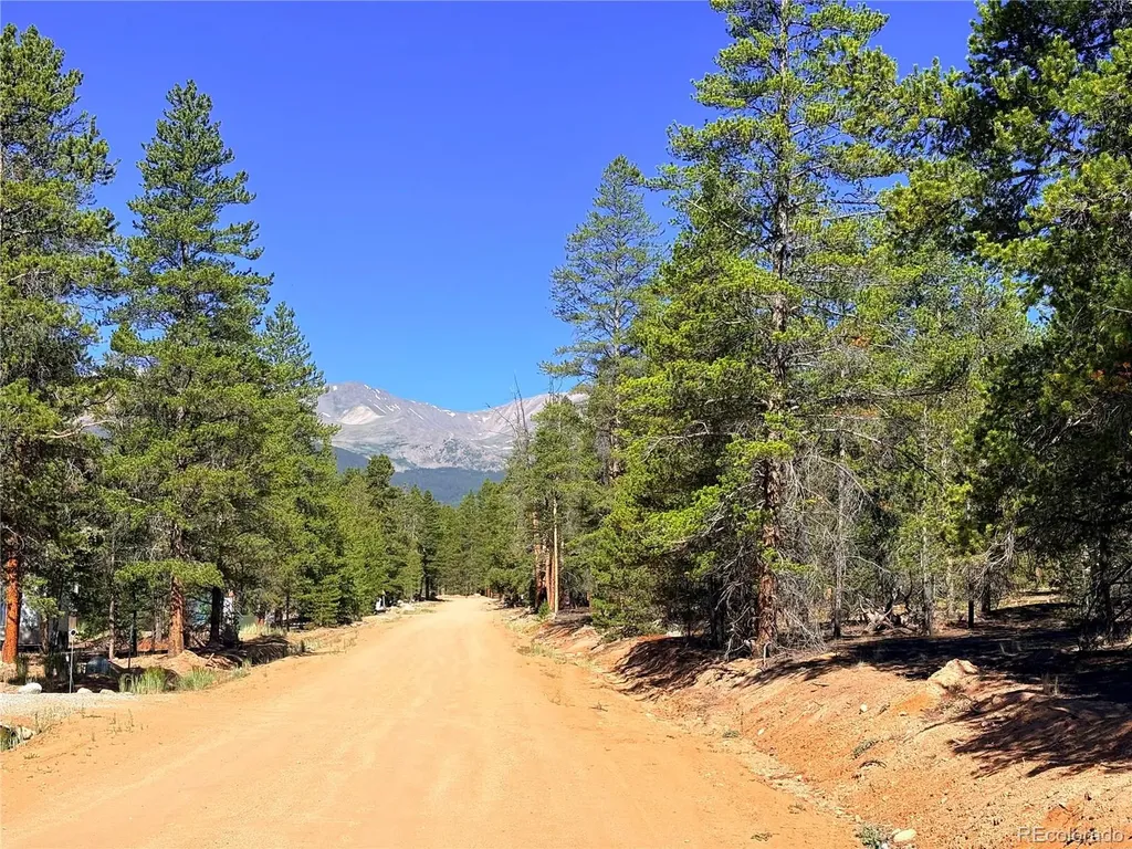 323 Aspen Drive Leadville CO 80461
