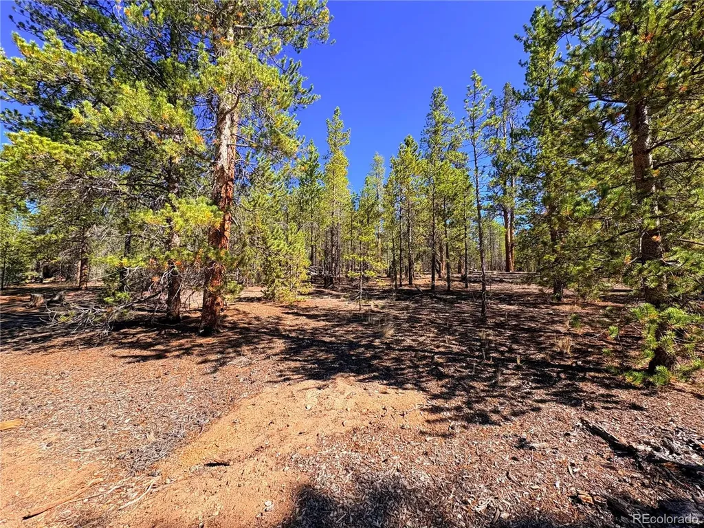 323 Aspen Drive Leadville CO 80461