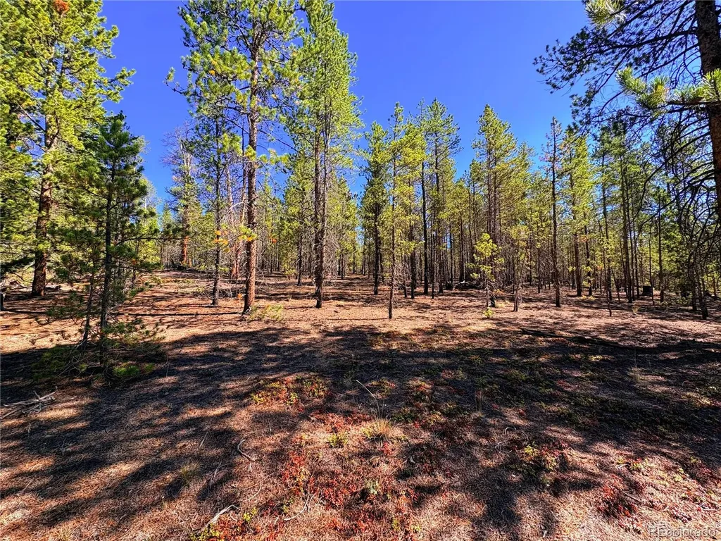 323 Aspen Drive Leadville CO 80461