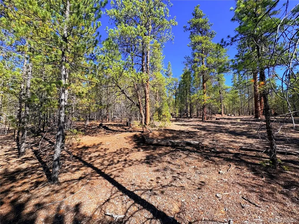 323 Aspen Drive Leadville CO 80461
