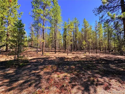 323 Aspen Drive Leadville CO 80461