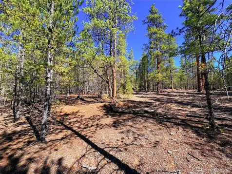 323 Aspen Drive Leadville CO 80461
