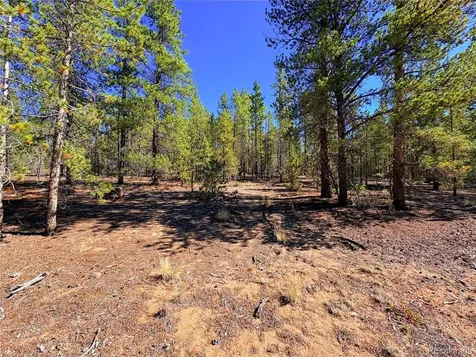 323 Aspen Drive Leadville CO 80461