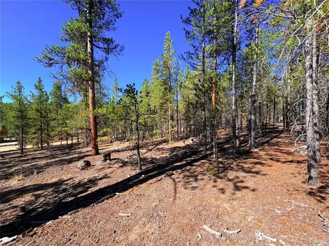 323 Aspen Drive Leadville CO 80461