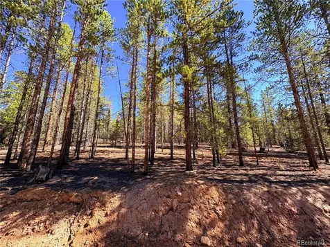 323 Aspen Drive Leadville CO 80461