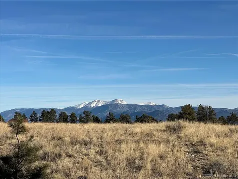 13001 County Road 261p Nathrop CO 81236