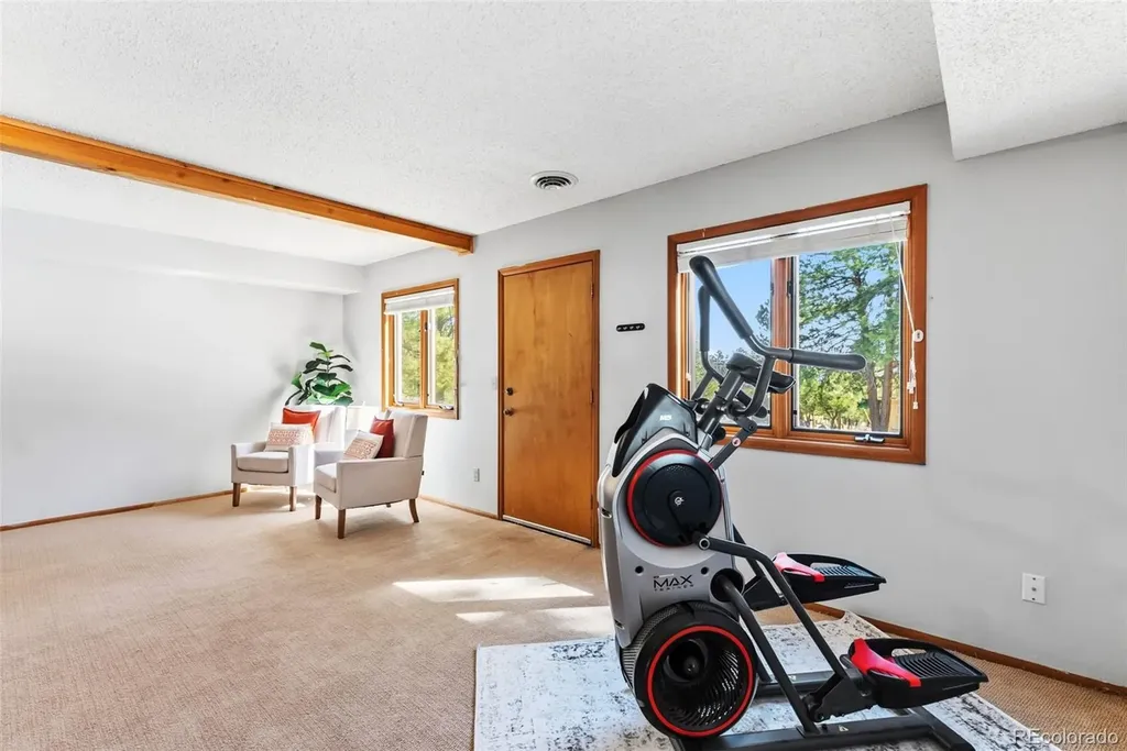 18360 Trail West Drive Buena Vista CO 81211