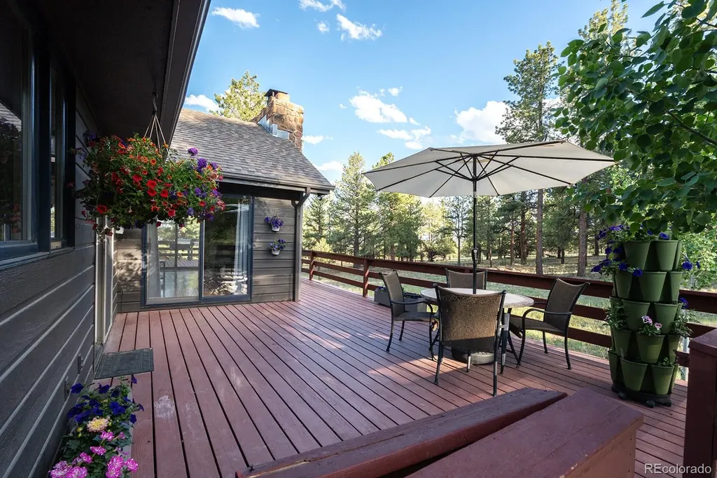 18360 Trail West Drive Buena Vista CO 81211