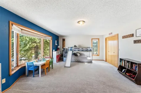 18360 Trail West Drive Buena Vista CO 81211