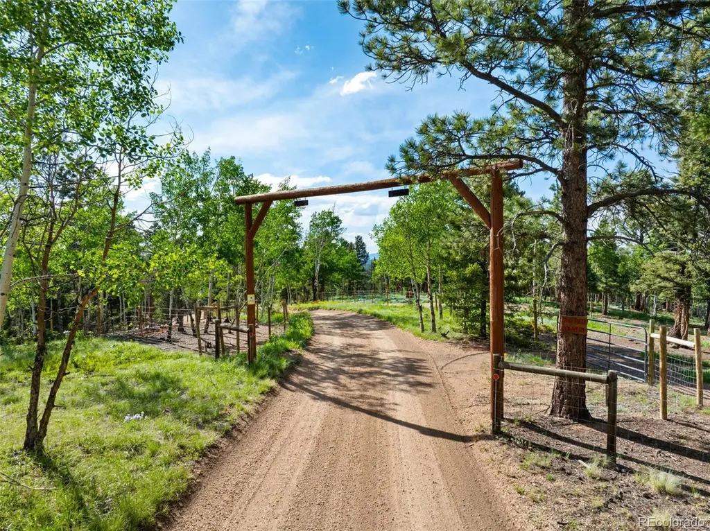 4269 Cedar Mountain Road Divide CO 80814