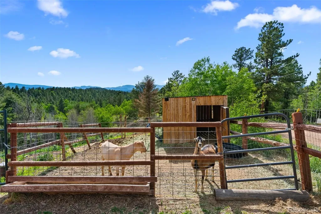 4269 Cedar Mountain Road Divide CO 80814