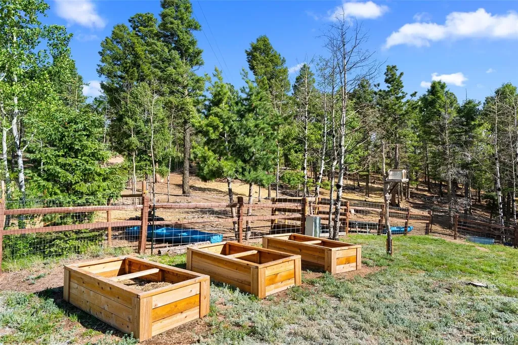 4269 Cedar Mountain Road Divide CO 80814