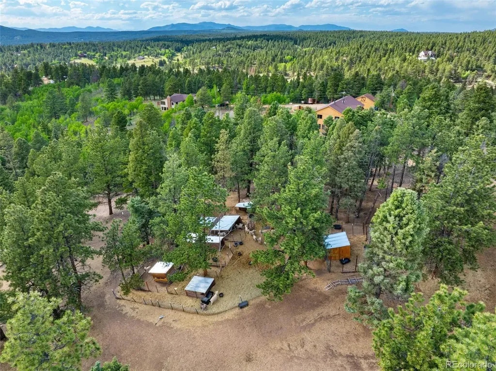 4269 Cedar Mountain Road Divide CO 80814