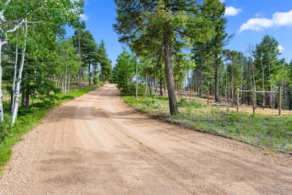 4269 Cedar Mountain Road Divide CO 80814