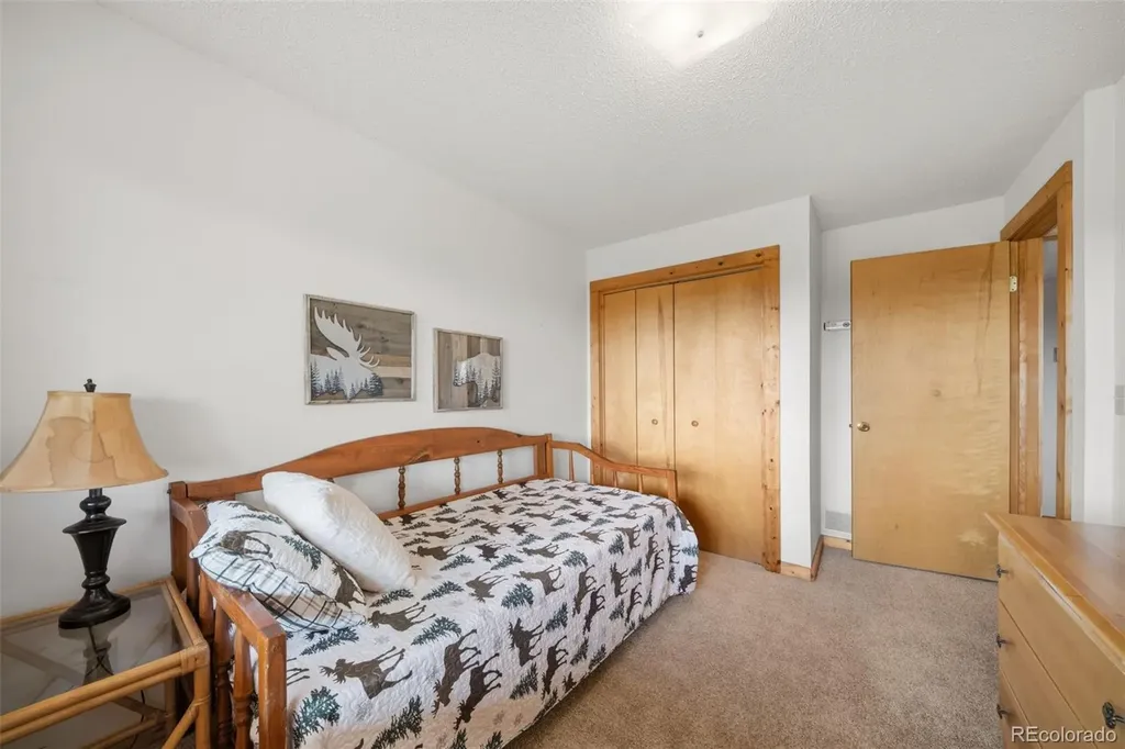 4269 Cedar Mountain Road Divide CO 80814