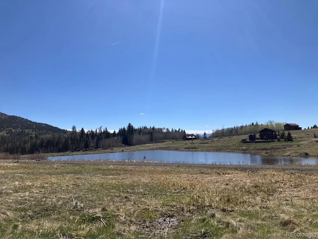 212 Camp Robber Drive Creede CO 81130