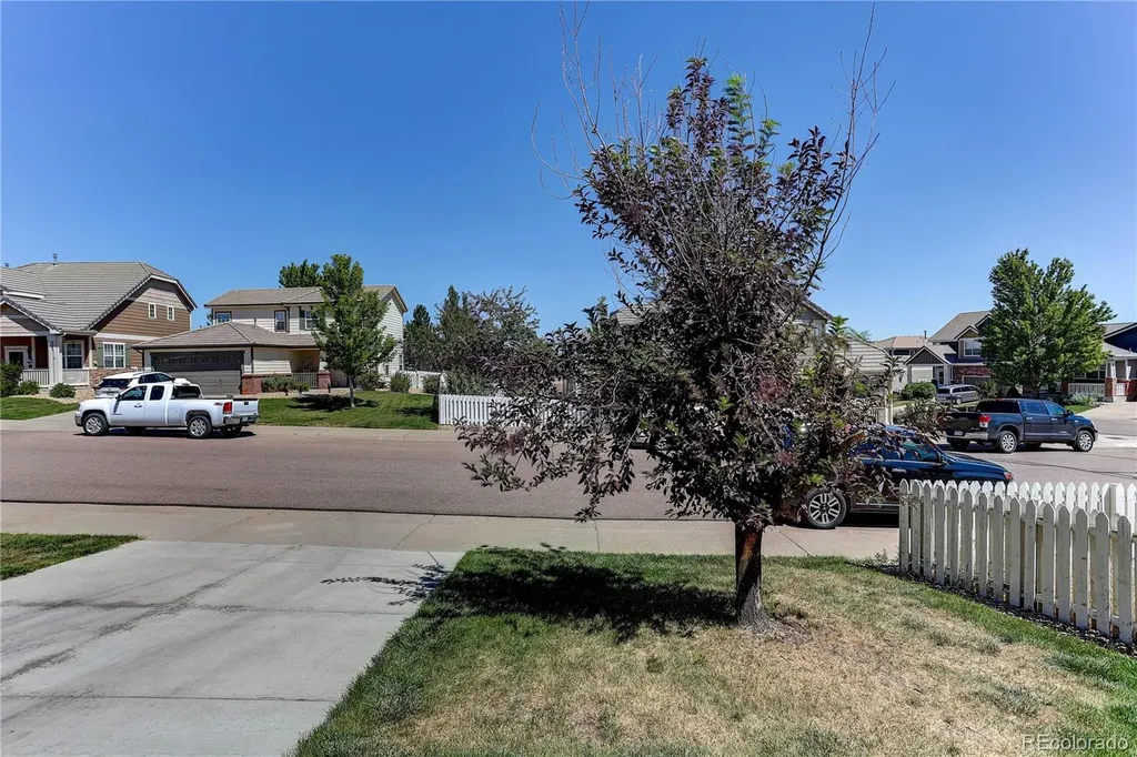 3798 Majestic Trail Castle Rock CO 80109