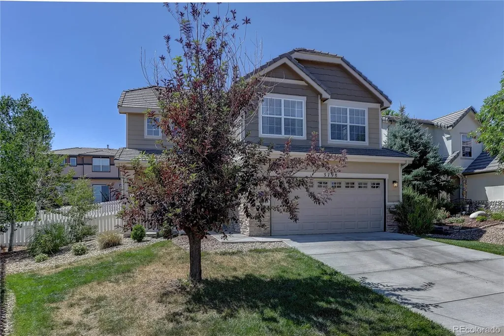 3798 Majestic Trail Castle Rock CO 80109
