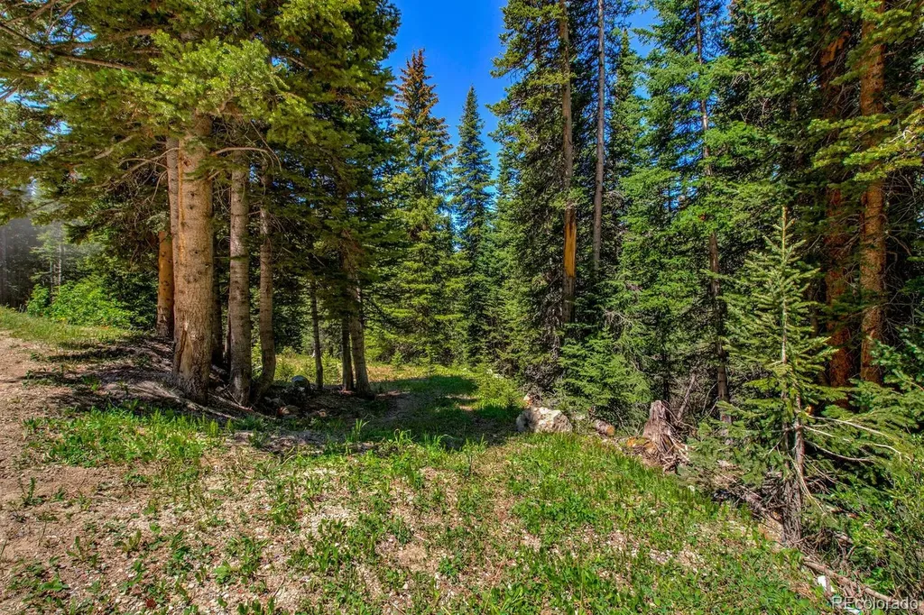 0307 Cr 674 Breckenridge CO 80424
