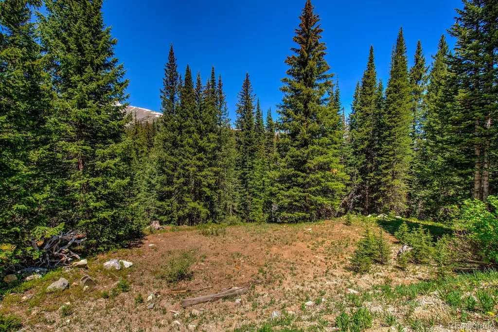 0307 Cr 674 Breckenridge CO 80424