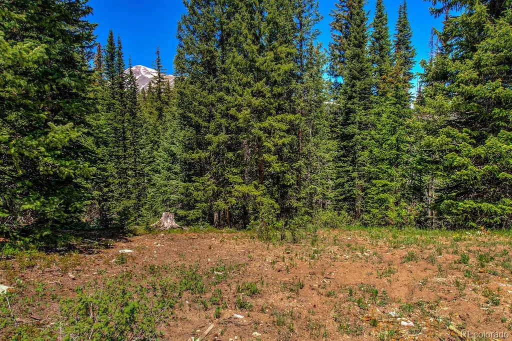 0307 Cr 674 Breckenridge CO 80424