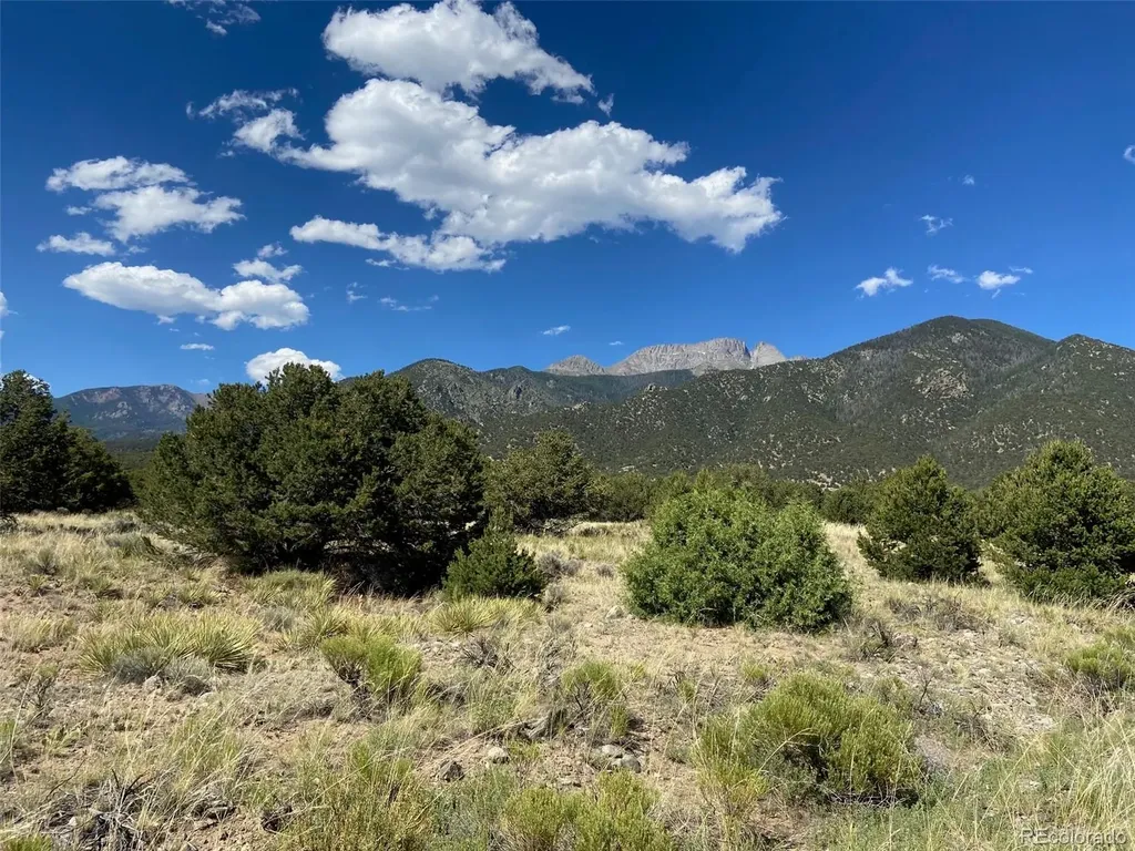3233 Camino Del Rey Crestone CO 81131