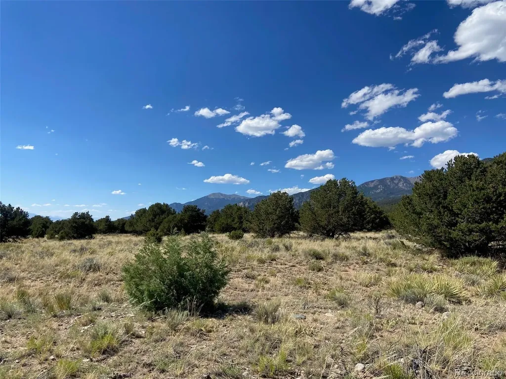 3233 Camino Del Rey Crestone CO 81131