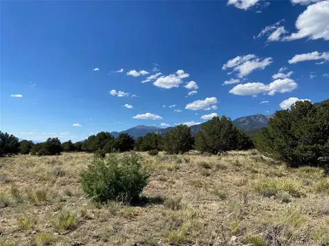 3233 Camino Del Rey Crestone CO 81131