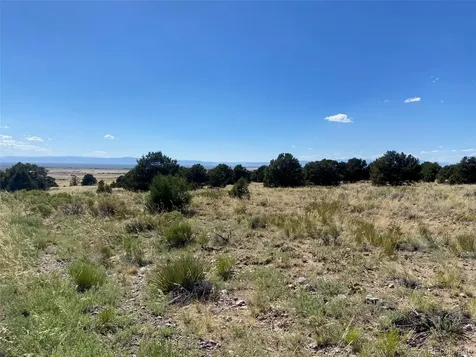 3233 Camino Del Rey Crestone CO 81131