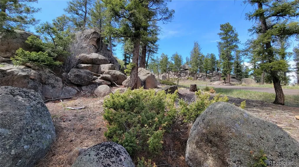 24073 Peak Drive Conifer CO 80433