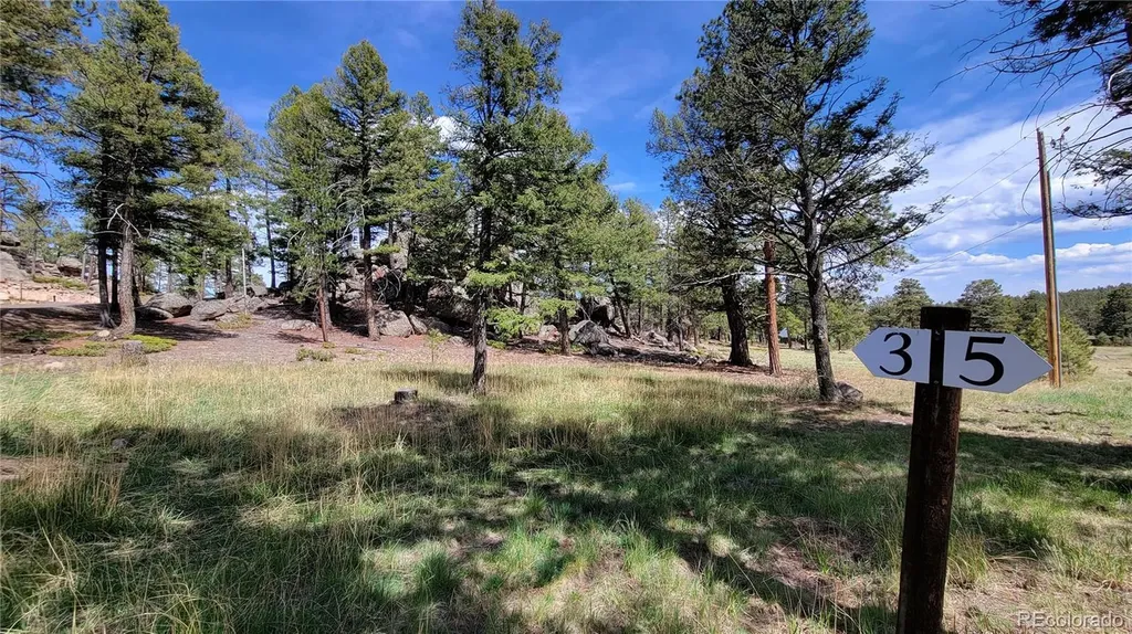 24073 Peak Drive Conifer CO 80433