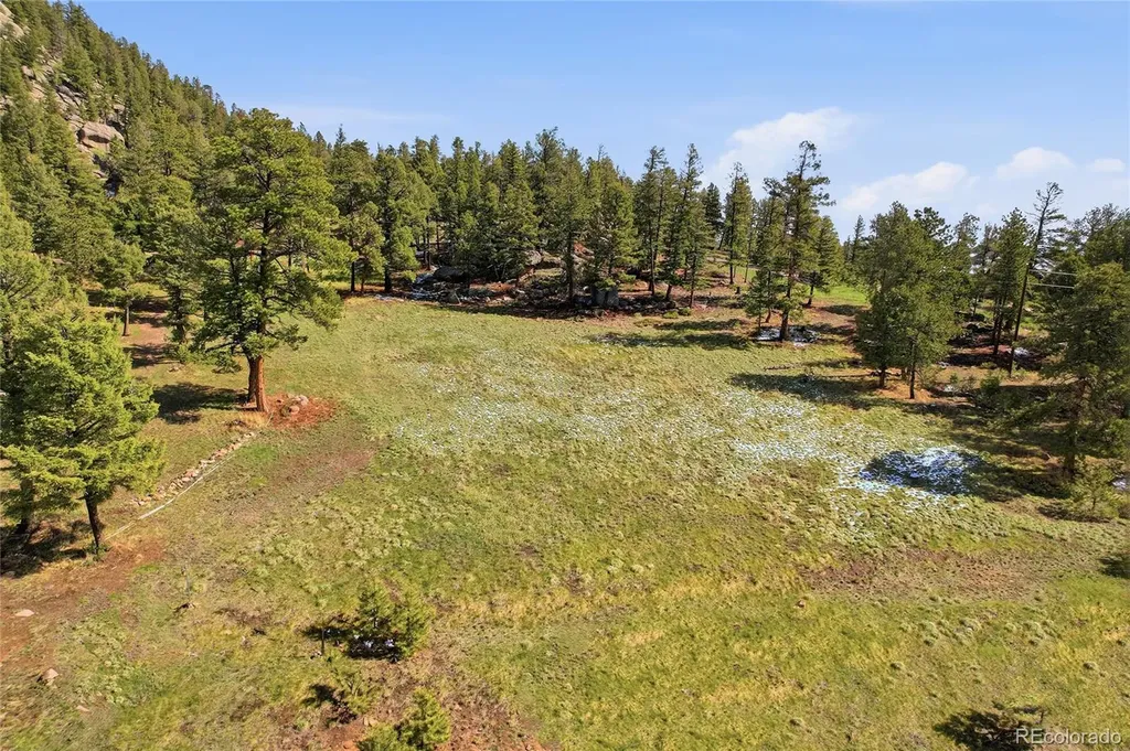 24073 Peak Drive Conifer CO 80433