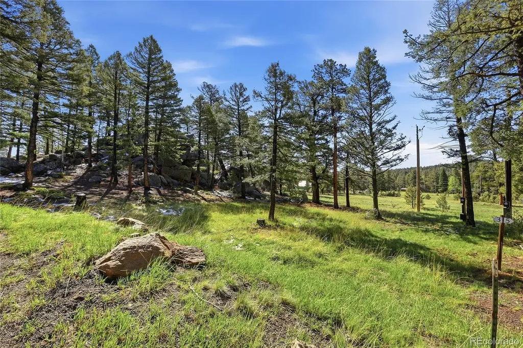 24073 Peak Drive Conifer CO 80433