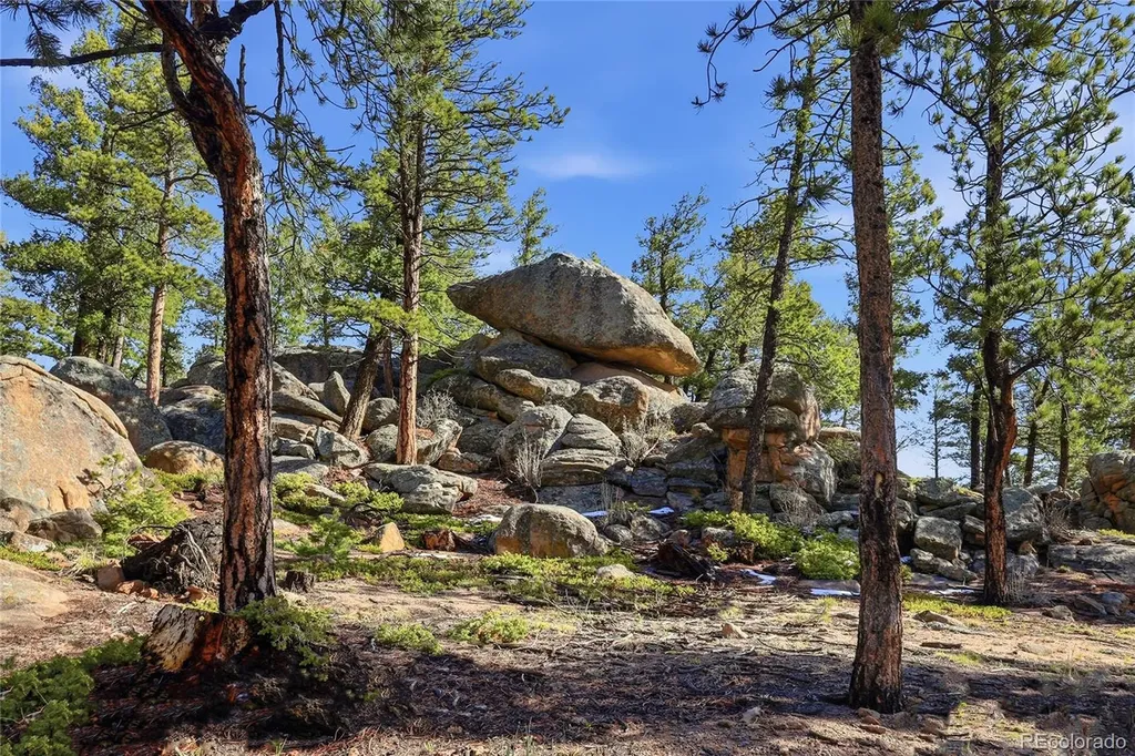 24073 Peak Drive Conifer CO 80433