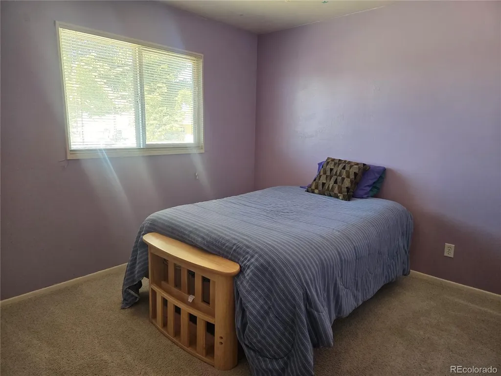 1309 Mount Elbert Drive Leadville CO 80461