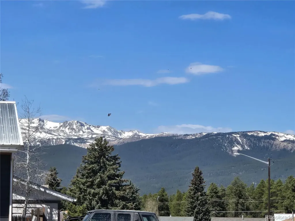 1309 Mount Elbert Drive Leadville CO 80461
